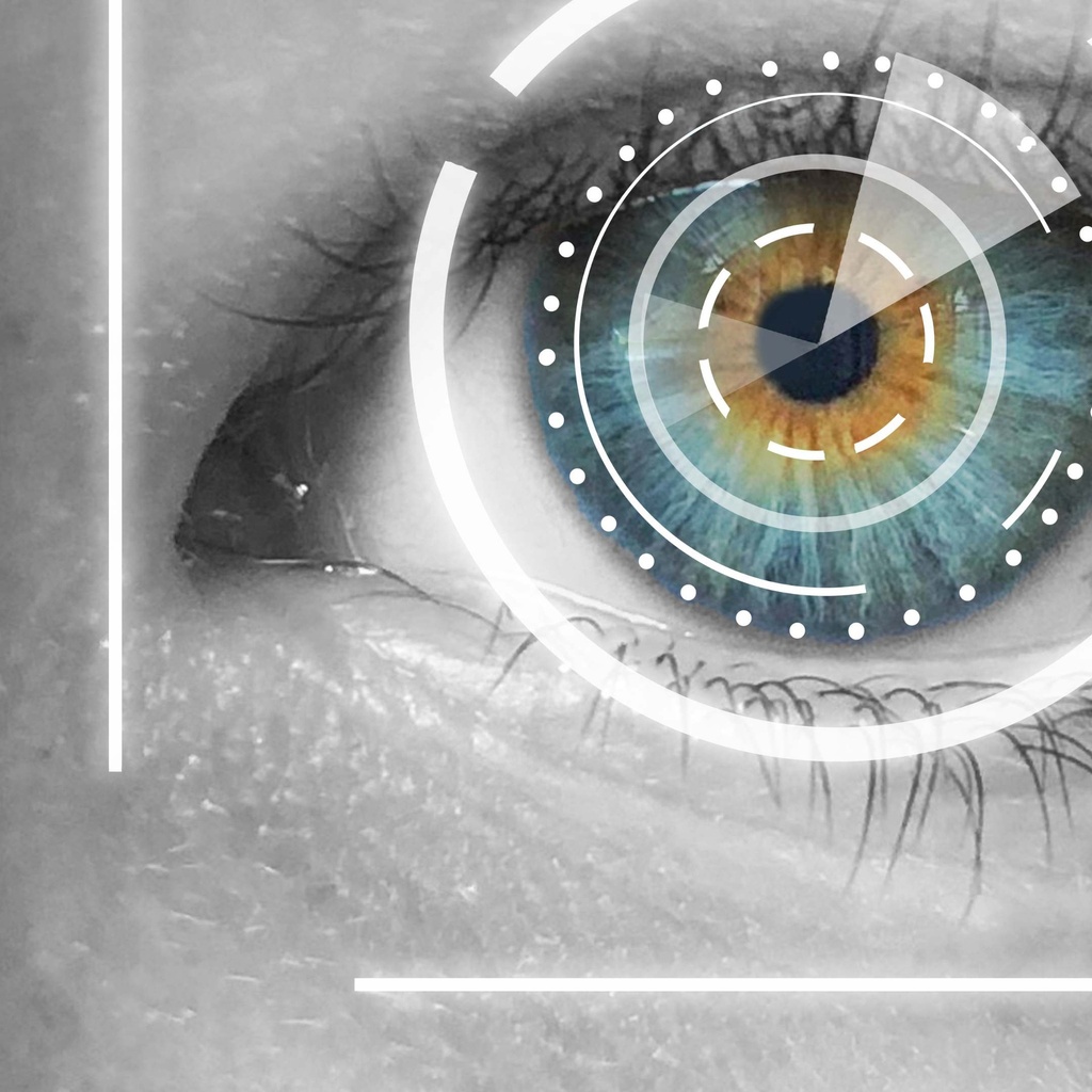 Curso "Manifestaciones visuales en enfermedades neurológicas desde una perspectiva interdisciplinar"